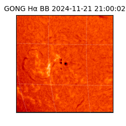 gong - 2024-11-21T21:00:02