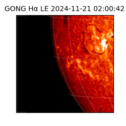 gong - 2024-11-21T02:00:42