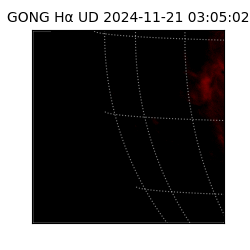 gong - 2024-11-21T03:05:02