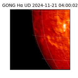 gong - 2024-11-21T04:00:02