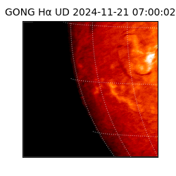 gong - 2024-11-21T07:00:02