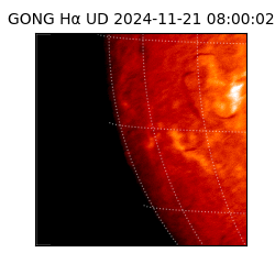 gong - 2024-11-21T08:00:02