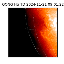 gong - 2024-11-21T09:01:22