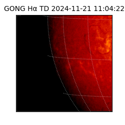 gong - 2024-11-21T11:04:22