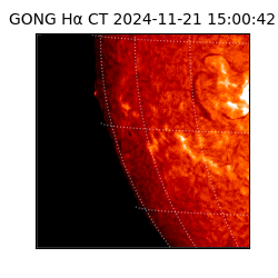 gong - 2024-11-21T15:00:42