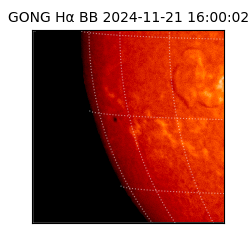 gong - 2024-11-21T16:00:02