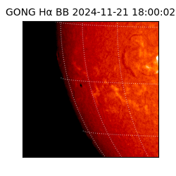 gong - 2024-11-21T18:00:02