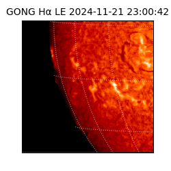 gong - 2024-11-21T23:00:42