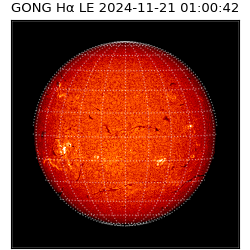 gong - 2024-11-21T01:00:42