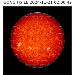 gong - 2024-11-21T02:00:42