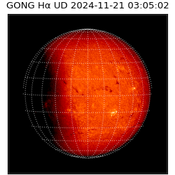 gong - 2024-11-21T03:05:02