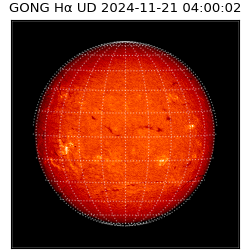 gong - 2024-11-21T04:00:02