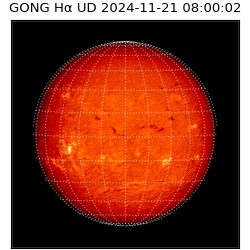 gong - 2024-11-21T08:00:02