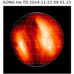 gong - 2024-11-21T09:01:22