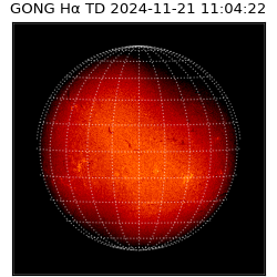 gong - 2024-11-21T11:04:22