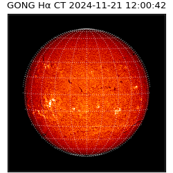 gong - 2024-11-21T12:00:42