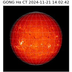 gong - 2024-11-21T14:02:42