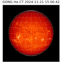 gong - 2024-11-21T15:00:42