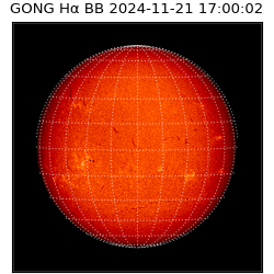 gong - 2024-11-21T17:00:02