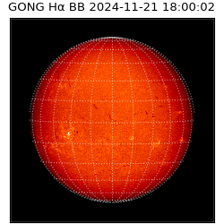 gong - 2024-11-21T18:00:02