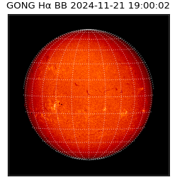 gong - 2024-11-21T19:00:02