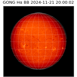 gong - 2024-11-21T20:00:02