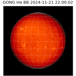 gong - 2024-11-21T22:00:02