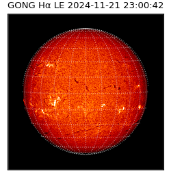 gong - 2024-11-21T23:00:42