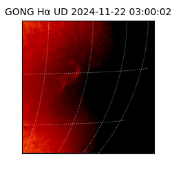 gong - 2024-11-22T03:00:02