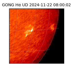 gong - 2024-11-22T08:00:02