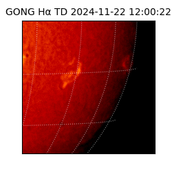 gong - 2024-11-22T12:00:22