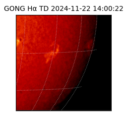 gong - 2024-11-22T14:00:22