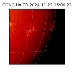 gong - 2024-11-22T15:00:22