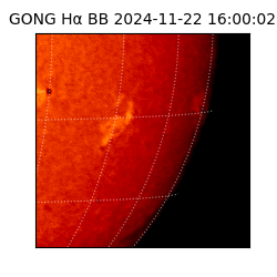 gong - 2024-11-22T16:00:02
