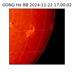 gong - 2024-11-22T17:00:02