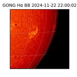 gong - 2024-11-22T22:00:02