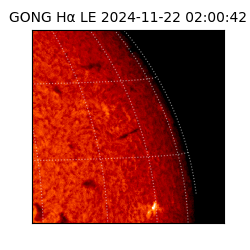gong - 2024-11-22T02:00:42