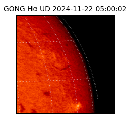 gong - 2024-11-22T05:00:02