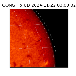 gong - 2024-11-22T08:00:02