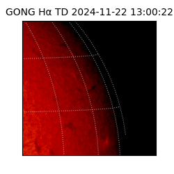 gong - 2024-11-22T13:00:22