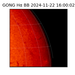gong - 2024-11-22T16:00:02