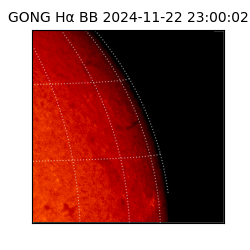 gong - 2024-11-22T23:00:02