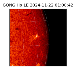 gong - 2024-11-22T01:00:42