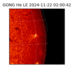 gong - 2024-11-22T02:00:42