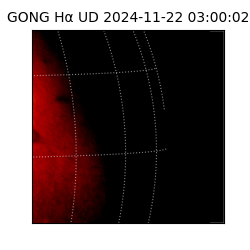 gong - 2024-11-22T03:00:02