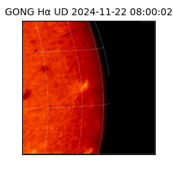 gong - 2024-11-22T08:00:02
