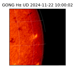 gong - 2024-11-22T10:00:02