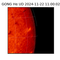 gong - 2024-11-22T11:00:02