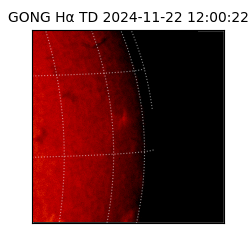 gong - 2024-11-22T12:00:22