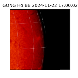 gong - 2024-11-22T17:00:02